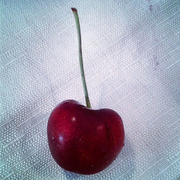 cherry